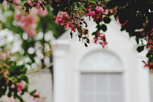 Spring home refresh - Declutter, select multi-functional decor, adorn walls and shelves with beauty, embracing renewal.
